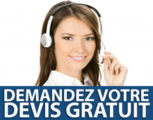 Devis chemine centrale